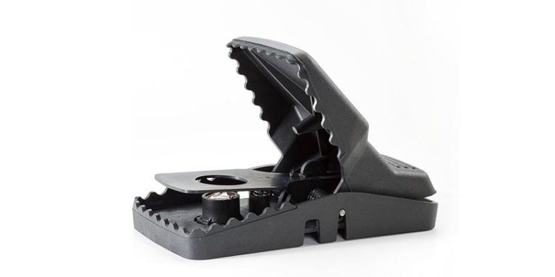 predator mouse trap