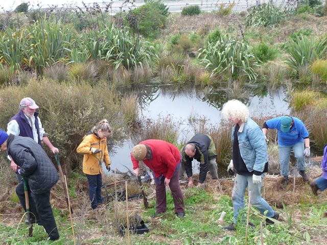 A group of people working in a wetland