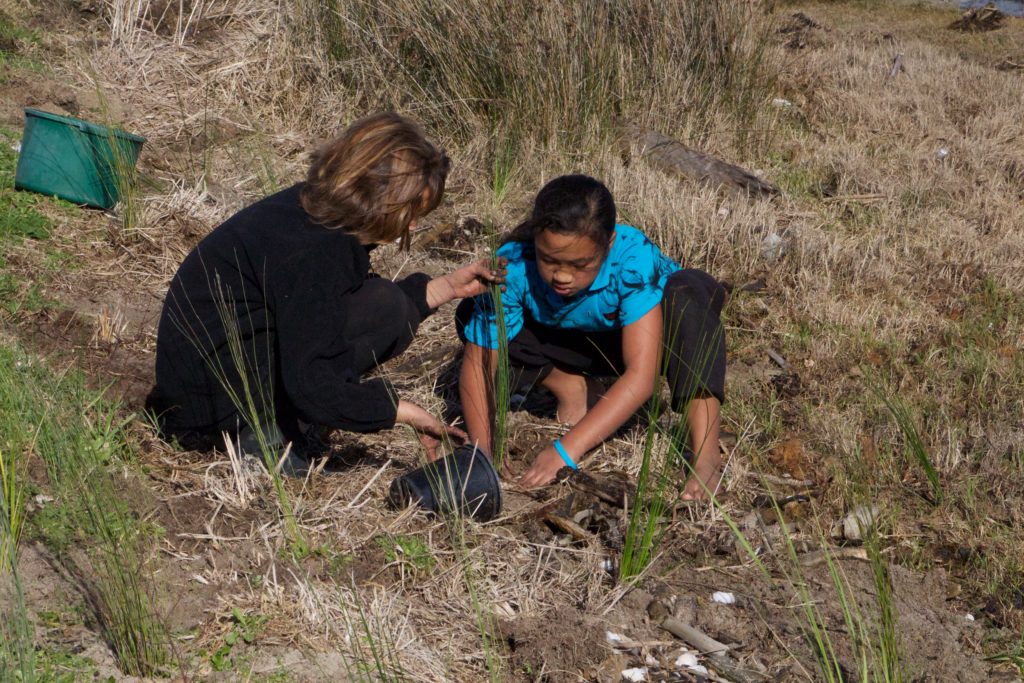 Two children planting in the dunes