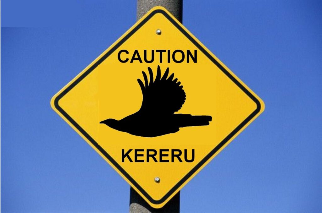 A street sign showing a kereru