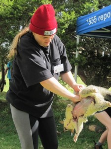 possums fur trade Project Possum