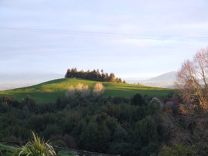 A landscape shot of the farm