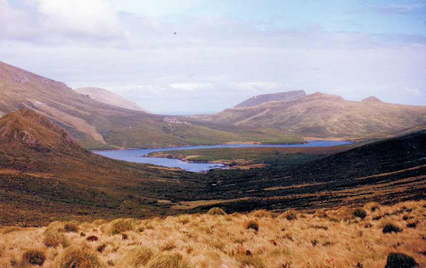 Landscape shot of Campbell Island