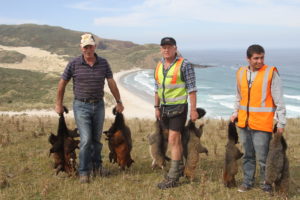 Otago Peninsula farmer, Bob Morris (left), OPBG Operations Manager, Bruce Kyle (centre) and French volunteer, Jimmy Da Costa with an impressive catch of possums.