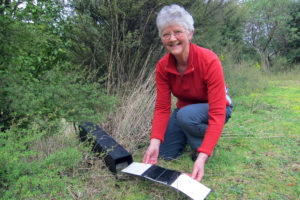 OPBG secretary, Moira Parker sets an ink card in a tracking tunnel.