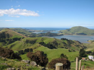 A view of Otago Peninsula from Mt Charles.