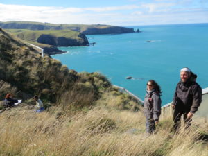 Banks Peninsula Conservation Trust volunteers check burrows for titi chicks. The clifftop breeding site is surrounded by a predator-proof fence.