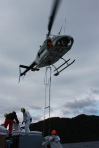 Peter Garden's helicopter in action, during the mouse eradication operation.