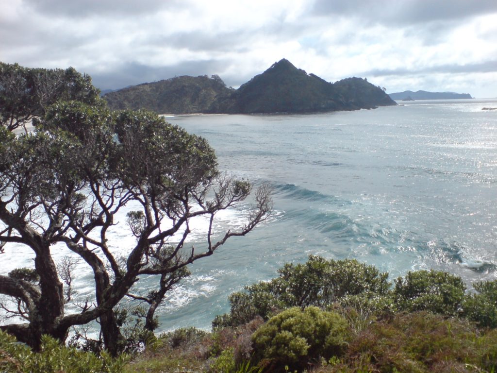 Great Barrier Island - view down from Medlands Beach. Image credit: Ingolfson via Wikimedia.
