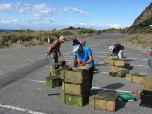 Volunteers prepare nestboxes at a 'Places for Penguins' working bee.