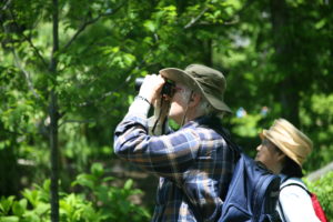 Two people using binoculars to monitor birds in a forest 