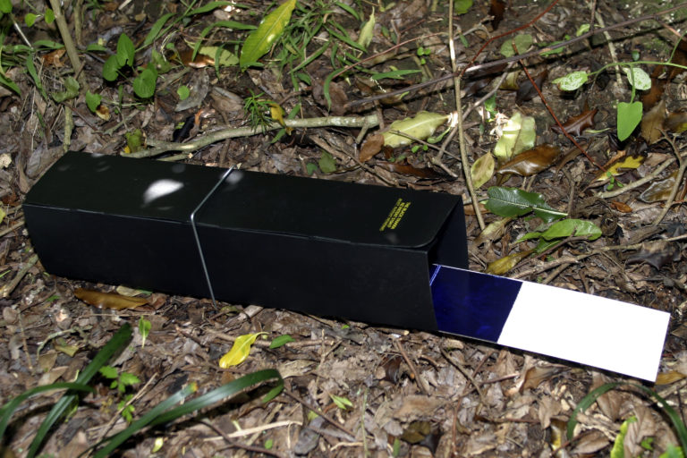 Kiwi inventor shares ways to read predator footprints