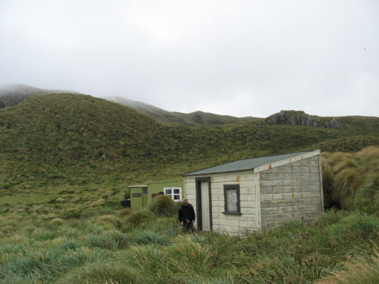 A hut on on a grassy island