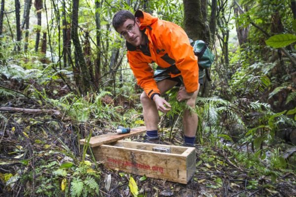 trap lines Janszoon Bill Knox checking traps. Photo: Dave Buckton