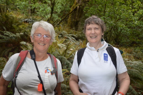 The two Helen Clarks in the forest