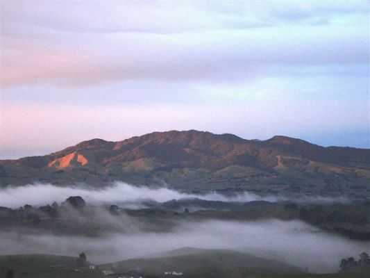 Maungatautari morning scene. Image credit: Maungatautari Ecological Island Trust.