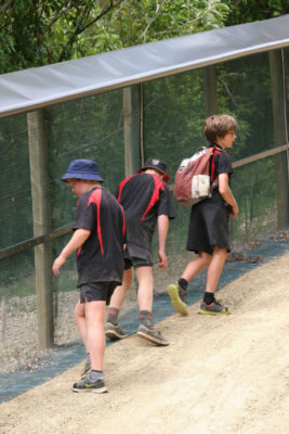 School pupils inspect the new pest-proof fence at Brook Waimarama Sanctuary