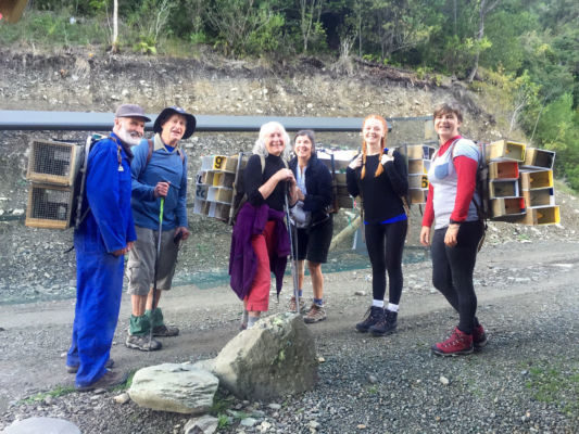 Volunteers transport traps.