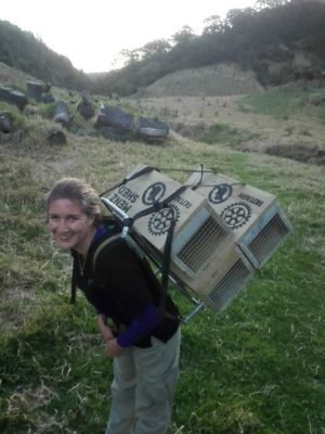 Whakatane West Rotary Club has been making traps for community conservation groups to use.