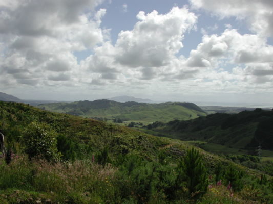 View towards Kapiti from Tararua Forest Park. Image credit: Psuedopanax, Wikimedia Commons.