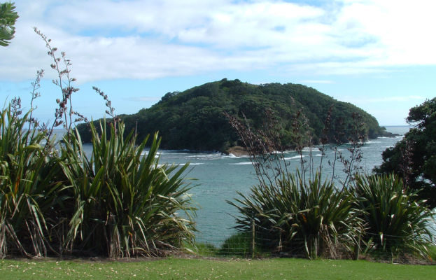 Goat Island. Photo: Kaiwhakahaere (Wikimedia Commons).