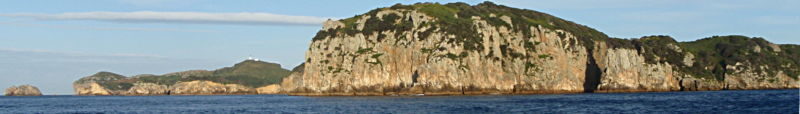 Mokohinau Islands shoreline. Photo: Peter Southwood via Wikimedia.