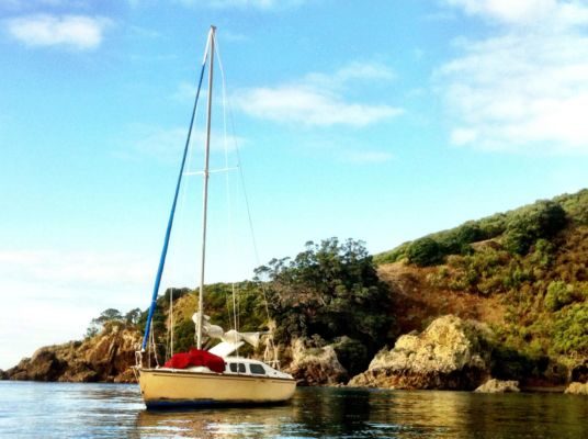 Off Tiritiri-Matangi Island. Photo: aththebonfire (Wikimedia Commons).
