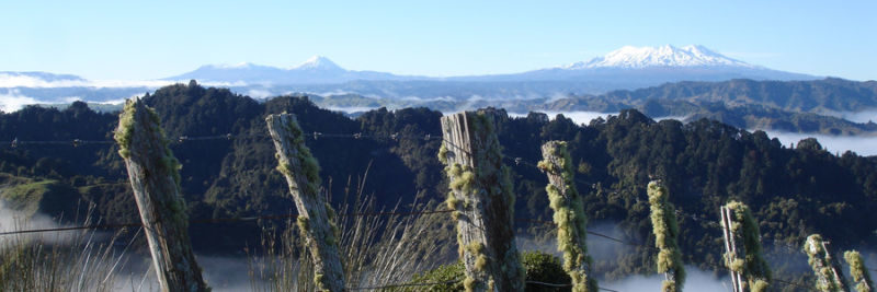A mossy fence with a mountain range in the background