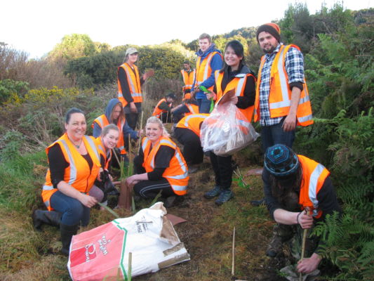 Students from Southern Institute of Technology's Environmental Management course working on a restoration project at Bluff Hill.