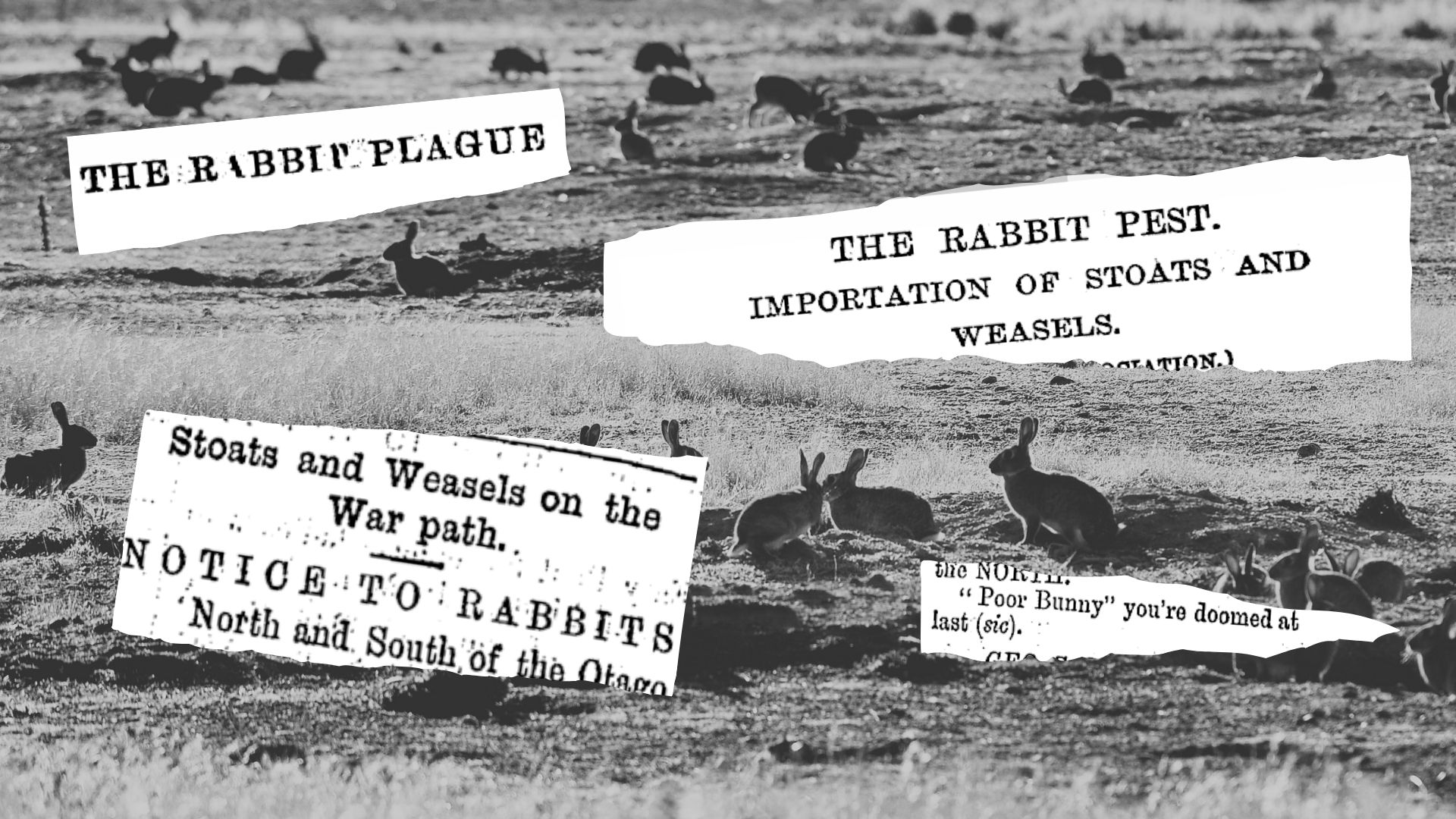 Old time newspaper headlines