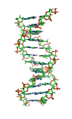A DNA helix image