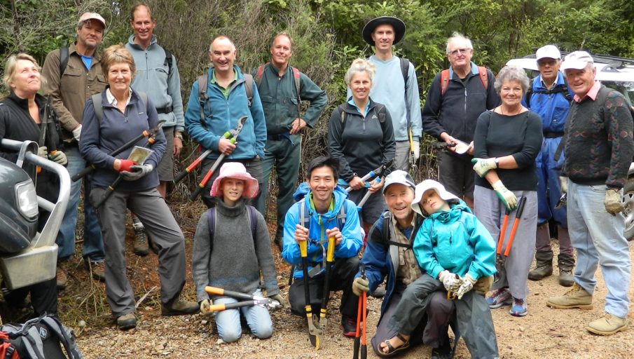 Volunteering for conservation is on the rise according to results of the latest Public Perceptions of the New Zealand Environment . Image credit: Puketi Forest Trust.
