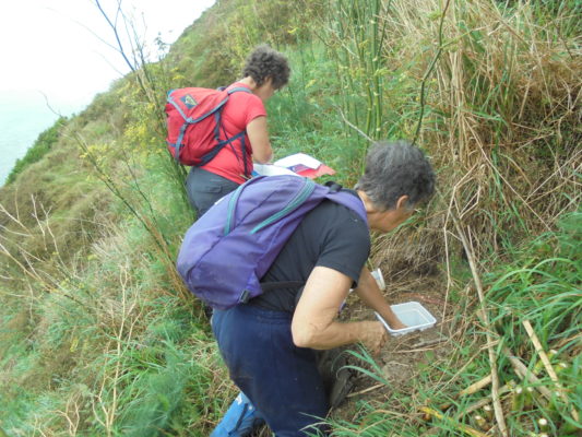 volunteers help survey lizards on the escarpment.