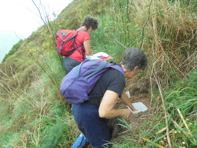 Traps, technology and lizard tales on the Kapiti Coast