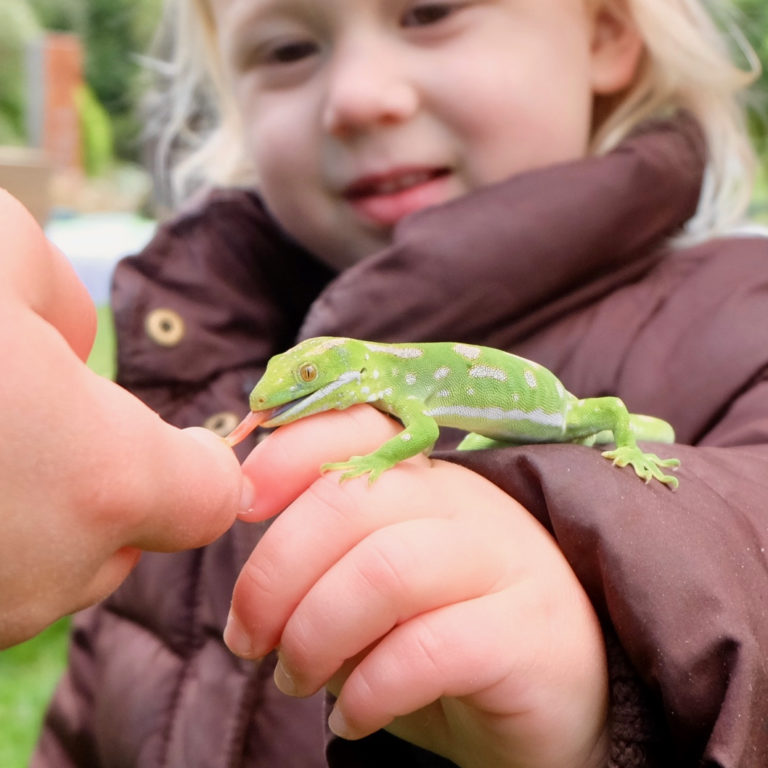 Kiwibank Predator Free Schools announced