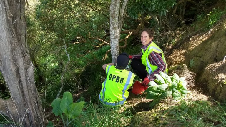 Workers place chew cards in bush