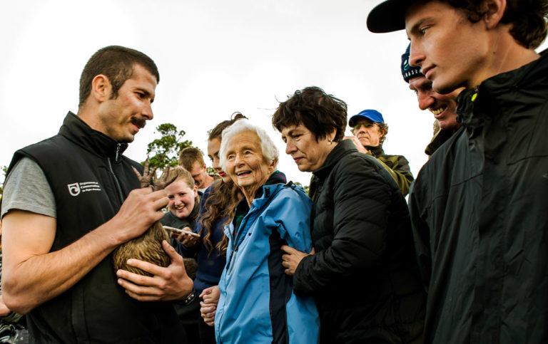 Tawapou Farm hosts kiwi and grey-faced petrels