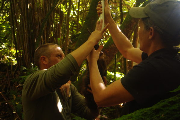 Simon Collins, Rotokare Sanctuary Manager (left) and Fiona Gordon, Site Manager, weigh a kiwi.