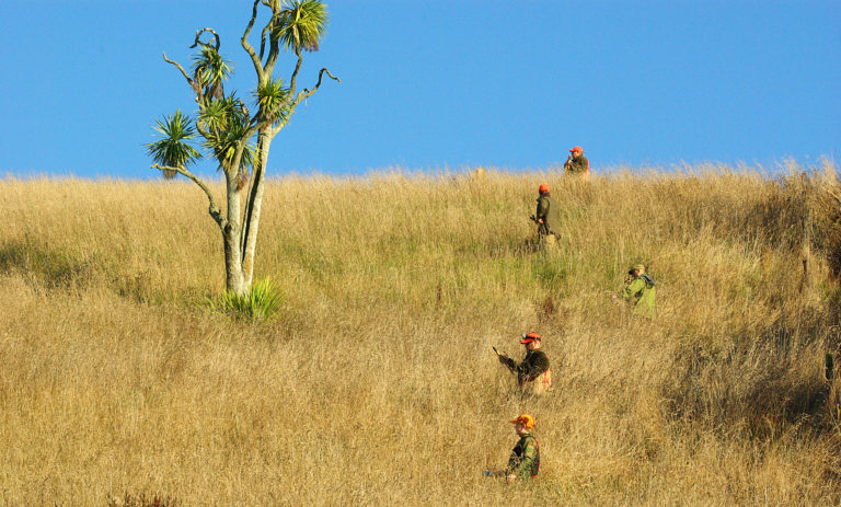 Increasing biodiversity is a priority at Craigmore Station