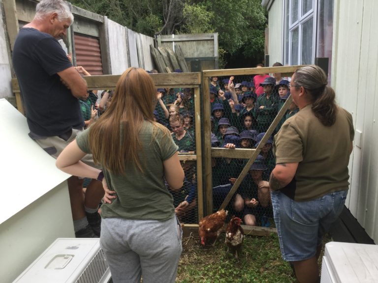 Birds, not rats rule the roost at Lynmore School