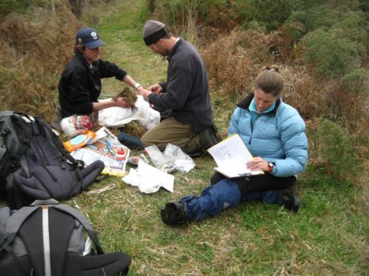 Jim Watts, Paul van Klink and Dawn Palmer catch weka prior to the first trial release.