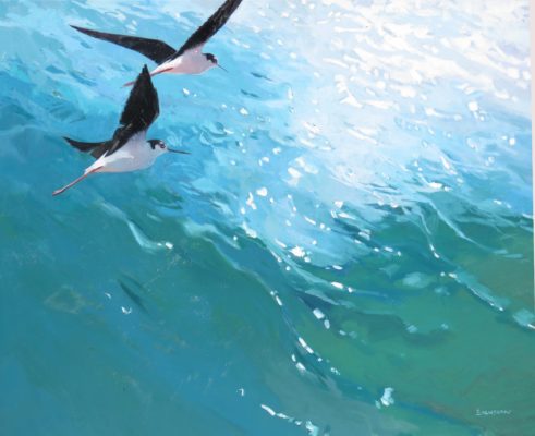 'Crossing the Turning Tide' 24" x 30" oil (North American Black-necked Stilts)