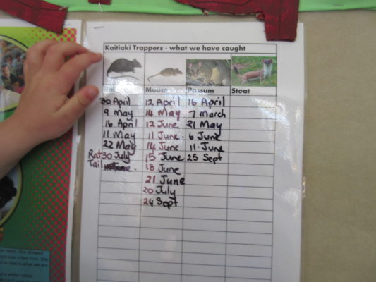A chart keep track of catches and introduces the children to record-keeping.