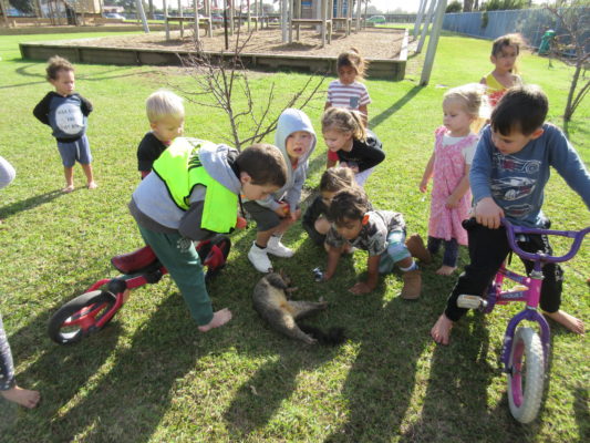 Children take a keen interest in what has been caught.