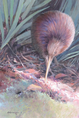 The kiwi print titled, 'Kiwi Ora' that is available for purchase through Bay Bush Action's website. The size of the original is 15" x 10" (all sizes in inches). The image size of the print is 11 7/8" x 7 7/8" (about 30 x 20 cm).