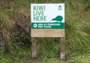 A sign alerts dog owners that kiwi are nearby