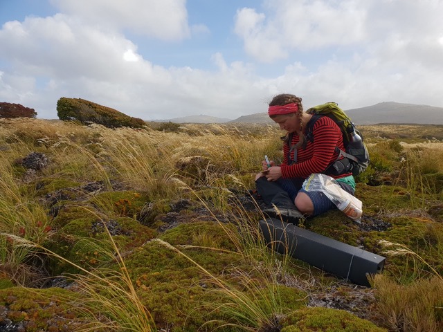 A fieldworker sits amongst native grass land with a tracking tunnel and equipment on the Auckland Islands