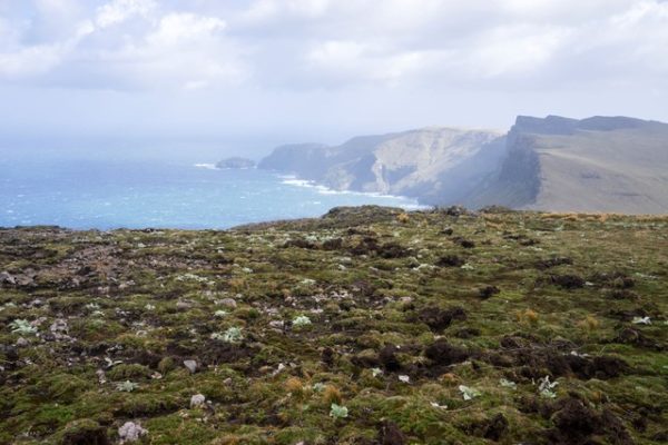 Western Cliffs. Photo: Finlay Cox.