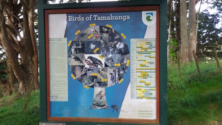 A display highlights the diversity of birds which can be seen at Tamahunga.
