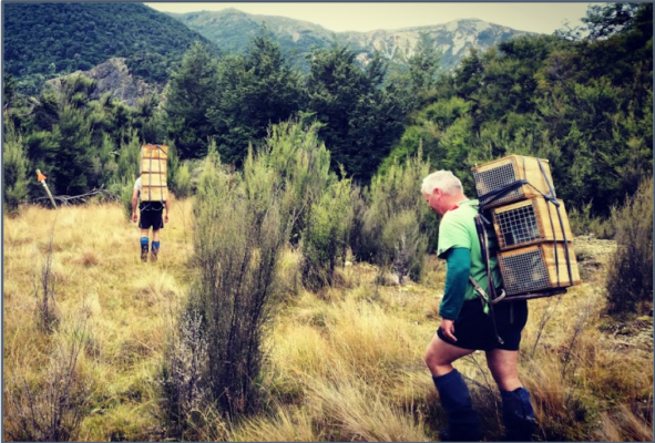 NZCT volunteers, Justin and Will carry traps into Carlyle.